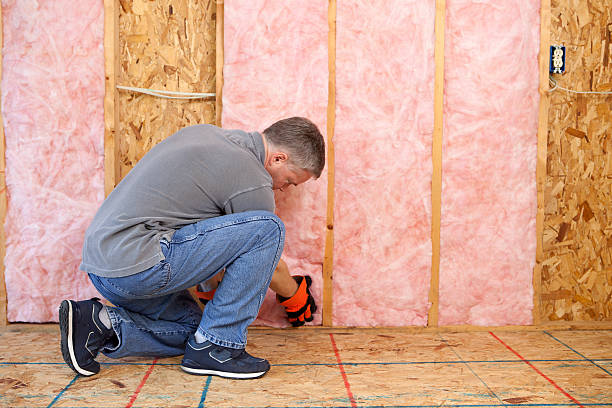 Best Insulation for Specific Applications in Waipio Acres, HI